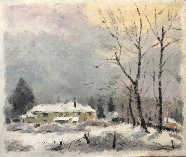 The sun come out after snow 雪后的阳光 2020