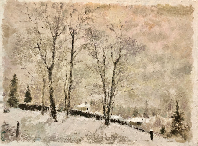 Brilliant after the snow 雪后的灿烂 2020